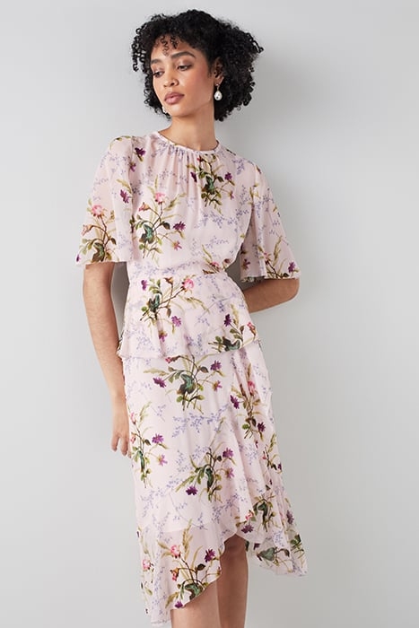 DR THEA MEADOW SCENE MULTI 5