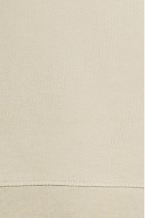 EMBROIDERED CREW NECK SWEATSHIRT DRIED SAGE/ COVE 5