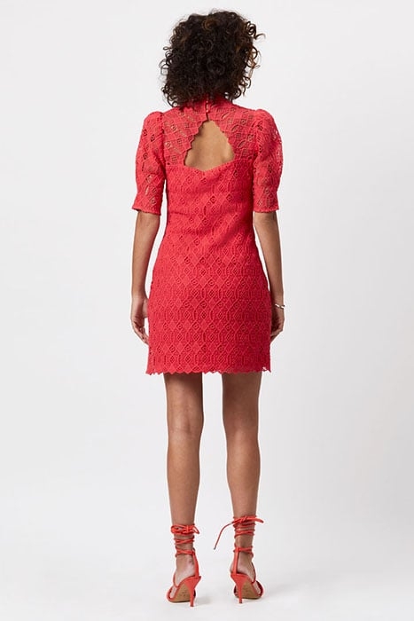 D6MARLEY LACE DRESS RUBY GRAPEFRUIT 2