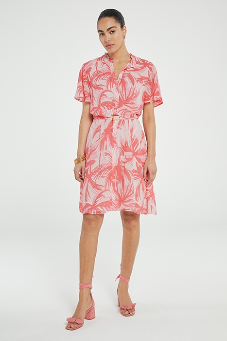 MYLA BUTTERFLY DRESS PINK GRAPEFRUIT/CHAR 1